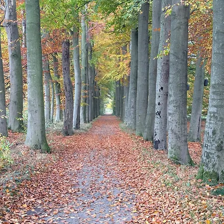 Vakantiewoning 't Veldzicht