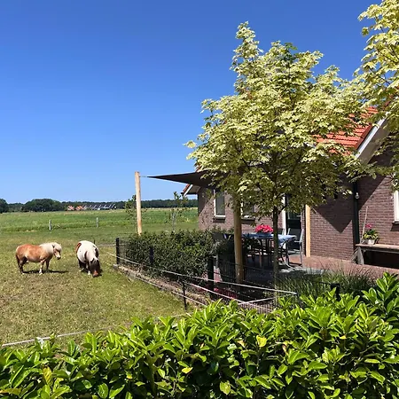 Dom wakacyjny Vakantiewoning 't Veldzicht *