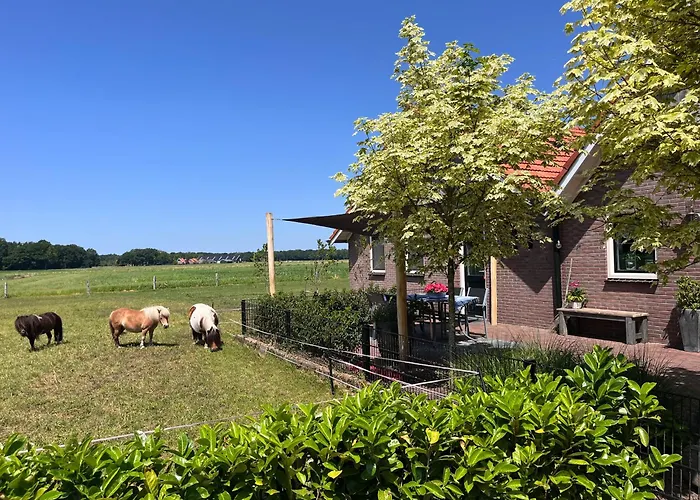 Casa vacanze Vakantiewoning 't Veldzicht *