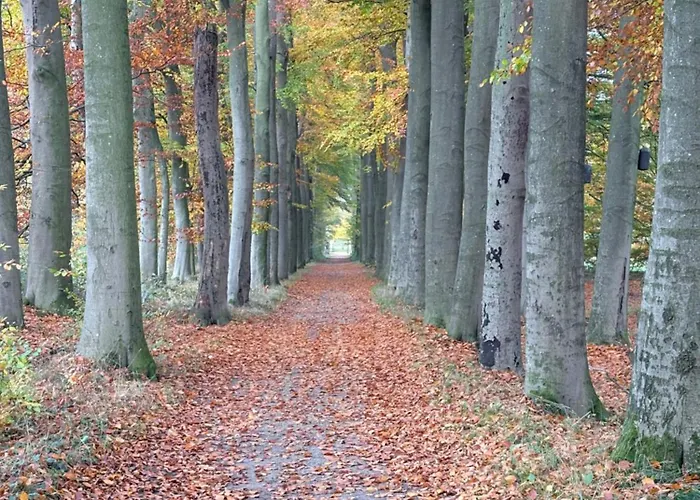 Vakantiewoning 't Veldzicht